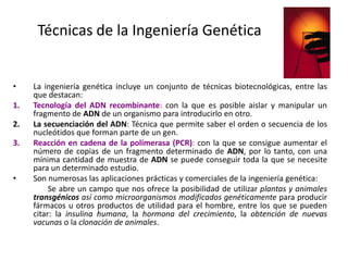 Técnicas de la Ingeniería Genética

•
1.
2.
3.

•

La ingeniería genética incluye un conjunto de técnicas biotecnológicas, entre las
que destacan:
Tecnología del ADN recombinante: con la que es posible aislar y manipular un
fragmento de ADN de un organismo para introducirlo en otro.
La secuenciación del ADN: Técnica que permite saber el orden o secuencia de los
nucleótidos que forman parte de un gen.
Reacción en cadena de la polimerasa (PCR): con la que se consigue aumentar el
número de copias de un fragmento determinado de ADN, por lo tanto, con una
mínima cantidad de muestra de ADN se puede conseguir toda la que se necesite
para un determinado estudio.
Son numerosas las aplicaciones prácticas y comerciales de la ingeniería genética:
Se abre un campo que nos ofrece la posibilidad de utilizar plantas y animales
transgénicos así como microorganismos modificados genéticamente para producir
fármacos u otros productos de utilidad para el hombre, entre los que se pueden
citar: la insulina humana, la hormona del crecimiento, la obtención de nuevas
vacunas o la clonación de animales.

 