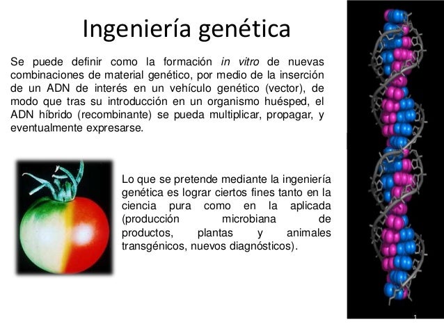 Ingenieria Genetica