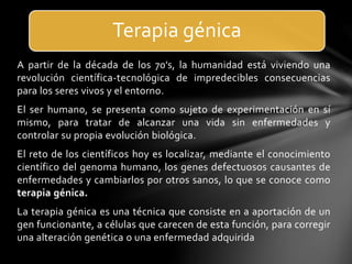 A partir de la década de los 70’s, la humanidad está viviendo una
revolución científica-tecnológica de impredecibles consecuencias
para los seres vivos y el entorno.
El ser humano, se presenta como sujeto de experimentación en sí
mismo, para tratar de alcanzar una vida sin enfermedades y
controlar su propia evolución biológica.
El reto de los científicos hoy es localizar, mediante el conocimiento
científico del genoma humano, los genes defectuosos causantes de
enfermedades y cambiarlos por otros sanos, lo que se conoce como
terapia génica.
La terapia génica es una técnica que consiste en a aportación de un
gen funcionante, a células que carecen de esta función, para corregir
una alteración genética o una enfermedad adquirida
Terapia génica
 