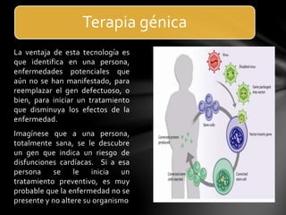 La ventaja de esta tecnología es
que identifica en una persona,
enfermedades potenciales que
aún no se han manifestado, para
reemplazar el gen defectuoso, o
bien, para iniciar un tratamiento
que disminuya los efectos de la
enfermedad.
Imagínese que a una persona,
totalmente sana, se le descubre
un gen que indica un riesgo de
disfunciones cardíacas. Si a esa
persona se le inicia un
tratamiento preventivo, es muy
probable que la enfermedad no se
presente y no altere su organismo
Terapia génica
 