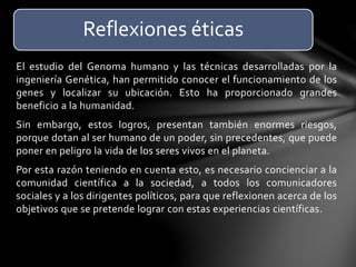 El estudio del Genoma humano y las técnicas desarrolladas por la
ingeniería Genética, han permitido conocer el funcionamiento de los
genes y localizar su ubicación. Esto ha proporcionado grandes
beneficio a la humanidad.
Sin embargo, estos logros, presentan también enormes riesgos,
porque dotan al ser humano de un poder, sin precedentes, que puede
poner en peligro la vida de los seres vivos en el planeta.
Por esta razón teniendo en cuenta esto, es necesario concienciar a la
comunidad científica a la sociedad, a todos los comunicadores
sociales y a los dirigentes políticos, para que reflexionen acerca de los
objetivos que se pretende lograr con estas experiencias científicas.
Reflexiones éticas
 
