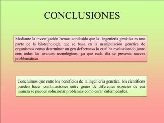 CONCLUSIONES
Mediante la investigación hemos concluido que la ingeniería genética es una
parte de la biotecnología que se basa en la manipulación genética de
organismos como determinar un gen defectuoso lo cual ha evolucionado junto
con todos los avances tecnológicos, ya que cada día se presenta nuevas
problemáticas
Concluimos que entre los beneficios de la ingeniería genética, los científicos
pueden hacer combinaciones entre genes de diferentes especies de esa
manera se pueden solucionar problemas como curar enfermedades.
 