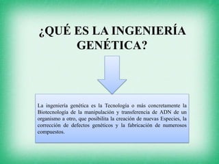 ¿QUÉ ES LA INGENIERÍA
GENÉTICA?
La ingeniería genética es la Tecnología o más concretamente la
Biotecnología de la manipulación y transferencia de ADN de un
organismo a otro, que posibilita la creación de nuevas Especies, la
corrección de defectos genéticos y la fabricación de numerosos
compuestos.
 