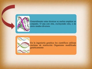 Generalmente estas técnicas se suelen emplear en
conjunto. O una con otra, excluyendo otra, o de
otros modos diversos.
En la ingeniería genética los científicos utilizan
enzimas de restricción Organismo modificado
genéticamente
 