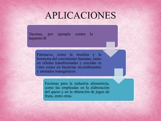 APLICACIONES
Vacunas, por ejemplo contra la
hepatitis B
Fármacos, como la insulina y la
hormona del crecimiento humano, tanto
en células transformadas y crecidas in
vitro como en bacterias recombinantes
y animales transgénicos
Enzimas para la industria alimenticia,
como las empleadas en la elaboración
del queso y en la obtención de jugos de
fruta, entre otras.
 
