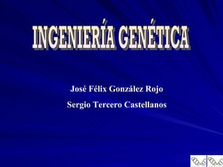 INGENIERÍA GENÉTICA José Félix González Rojo Sergio Tercero Castellanos 