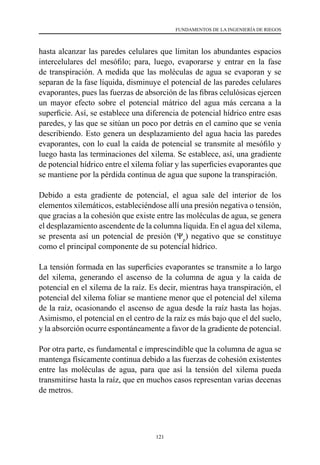 121
FUNDAMENTOS DE LA INGENIERÍA DE RIEGOS
hasta alcanzar las paredes celulares que limitan los abundantes espacios
intercelulares del mesófilo; para, luego, evaporarse y entrar en la fase
de transpiración. A medida que las moléculas de agua se evaporan y se
separan de la fase líquida, disminuye el potencial de las paredes celulares
evaporantes, pues las fuerzas de absorción de las fibras celulósicas ejercen
un mayor efecto sobre el potencial mátrico del agua más cercana a la
superficie. Así, se establece una diferencia de potencial hídrico entre esas
paredes, y las que se sitúan un poco por detrás en el camino que se venía
describiendo. Esto genera un desplazamiento del agua hacia las paredes
evaporantes, con lo cual la caída de potencial se transmite al mesófilo y
luego hasta las terminaciones del xilema. Se establece, así, una gradiente
de potencial hídrico entre el xilema foliar y las superficies evaporantes que
se mantiene por la pérdida continua de agua que supone la transpiración.
Debido a esta gradiente de potencial, el agua sale del interior de los
elementos xilemáticos, estableciéndose allí una presión negativa o tensión,
que gracias a la cohesión que existe entre las moléculas de agua, se genera
el desplazamiento ascendente de la columna líquida. En el agua del xilema,
se presenta así un potencial de presión (Ψp
) negativo que se constituye
como el principal componente de su potencial hídrico.
La tensión formada en las superficies evaporantes se transmite a lo largo
del xilema, generando el ascenso de la columna de agua y la caída de
potencial en el xilema de la raíz. Es decir, mientras haya transpiración, el
potencial del xilema foliar se mantiene menor que el potencial del xilema
de la raíz, ocasionando el ascenso de agua desde la raíz hasta las hojas.
Asimismo, el potencial en el centro de la raíz es más bajo que el del suelo,
y la absorción ocurre espontáneamente a favor de la gradiente de potencial.
Por otra parte, es fundamental e imprescindible que la columna de agua se
mantenga físicamente continua debido a las fuerzas de cohesión existentes
entre las moléculas de agua, para que así la tensión del xilema pueda
transmitirse hasta la raíz, que en muchos casos representan varias decenas
de metros.
 