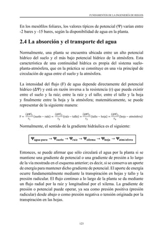 123
FUNDAMENTOS DE LA INGENIERÍA DE RIEGOS
En los mesófilos foliares, los valores típicos de potencial (Ψ) varían entre
-2 bares y -15 bares, según la disponibilidad de agua en la planta.
2.4 La absorción y el transporte del agua
Normalmente, una planta se encuentra ubicada entre un alto potencial
hídrico del suelo y el más bajo potencial hídrico de la atmósfera. Esta
característica de una continuidad hídrica es propia del sistema suelo-
planta-atmósfera, que en la práctica se constituye en una vía principal de
circulación de agua entre el suelo y la atmósfera.
La intensidad del flujo (F) de agua depende directamente del potencial
hídrico (∆Ψ) y está en razón inversa a la resistencia (r) que pueda existir
entre el suelo y la raíz; entre la raíz y el tallo; entre el tallo y la hoja
y finalmente entre la hoja y la atmósfera; matemáticamente, se puede
representar de la siguiente manera:
Normalmente, el sentido de la gradiente hidráulica es el siguiente:
Entonces, se puede afirmar que sólo circulará el agua por la planta si se
mantiene una gradiente de potencial o una gradiente de presión a lo largo
de la vía mostrada en el esquema anterior; es decir, si se conserva un aporte
de energía para mantener dicho gradiente de potencial. El aporte de energía
ocurre fundamentalmente mediante la transpiración en hojas y tallo y la
presión radicular. El flujo continuo a lo largo de la planta se da mediante
un flujo radial por la raíz y longitudinal por el xilema. La gradiente de
presión o potencial puede operar, ya sea como presión positiva (presión
radicular) desde abajo o como presión negativa o tensión originada por la
transpiración en las hojas.
 