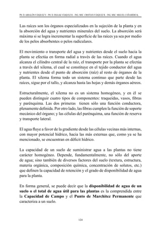 124
PH. D. ABSALÓN VÁSQUEZ V. - PH. D. ISSAAK VÁSQUEZ R. - ING. MSC. CRISTIAN VÁSQUEZ R. - ING. MSC. MIGUEL CAÑAMERO K.
Las raíces son los órganos especializados en la sujeción de la planta y en
la absorción del agua y nutrientes minerales del suelo. La absorción será
máxima si se logra incrementar la superficie de las raíces ya sea por medio
de los pelos absorbentes o pelos radiculares.
El movimiento o transporte del agua y nutrientes desde el suelo hacia la
planta se efectúa en forma radial a través de las raíces. Cuando el agua
alcanza el cilindro central de la raíz, el transporte por la planta se efectúa
a través del xilema, el cual se constituye en el tejido conductor del agua
y nutrientes desde el punto de absorción (raíz) al resto de órganos de la
planta. El xilema forma todo un sistema continuo que parte desde las
raíces, sigue por el tallo, y alcanza hasta las hojas y demás órganos aéreos.
Estructuralmente, el xilema no es un sistema homogéneo, y en él se
pueden distinguir cuatro tipos de componentes: traqueidas, vasos, fibras
y parénquima. Las dos primeras   tienen sólo una función conductora,
plenamente definida. Por otro lado, las fibras cumplen la función de soporte
mecánico del órgano; y las células del parénquima, una función de reserva
y transporte lateral.
El agua fluye a favor de la gradiente desde las células vecinas más internas,
con mayor potencial hídrico, hacia las más externas que, como ya se ha
mencionado, se encuentran en déficit hídrico.
La capacidad de un suelo de suministrar agua a las plantas no tiene
carácter homogéneo. Depende, fundamentalmente, no sólo del aporte
de agua; sino también de diversos factores del suelo (textura, estructura,
materia orgánica, composición química, concentración de solutos, etc.)
que definen la capacidad de retención y el grado de disponibilidad de agua
para la planta.
En forma general, se puede decir que la disponibilidad de agua de un
suelo o el total de agua útil para las plantas es la comprendida entre
la Capacidad de Campo y el Punto de Marchitez Permanente que
caracteriza a un suelo.
 