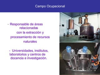 Responsable de áreas  relacionadas con la extracción y procesamiento de recursos naturales Universidades, institutos, laboratorios y centros de  docencia e investigación. Campo Ocupacional 