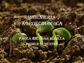 INGENIERIA
AGROECOLOGICA
PAOLA EsCObAR bONILLA
PRImER sEmEstRE
 