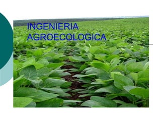INGENIERIA
AGROECOLOGICA
 