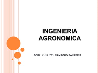 INGENIERIA
   AGRONOMICA

DERLLY JULIETH CAMACHO SANABRIA
 