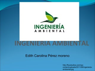 INGENIERIA AMBIENTAL
  Edith Carolina Pérez moreno

                        http://fluzstudios.com/wp-
                        content/uploads/2011/06/ingenieria-
                        ambiental.jpg
 