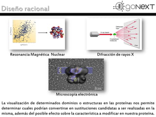 Diseño racional
Resonancia Magnética Nuclear Difracción de rayos X
La visualización de determinados dominios o estructuras...