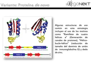 Variante: Proteína de novo
Algunas estructuras de uso
común en esta estrategia
incluyen el uso de los motivos
como “Ramill...