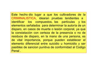Este hecho dio lugar a que los cultivadores de la 
CRIMINALISTICA, idearan pruebas tendientes a 
identificar los compuestos, las partículas y los 
elementos señalados para determinar la autoría de un 
disparo, en casos de muerte o lesión corporal, ya que 
la constatación con certeza de la presencia o no de 
residuos de disparo, en la mano de una persona, es 
de vital importancia, porque pueden establecer el 
elemento diferencial entre suicidio u homicidio y ser 
pasibles de sancion punitiva de conformidad al Codigo 
Penal . 
 