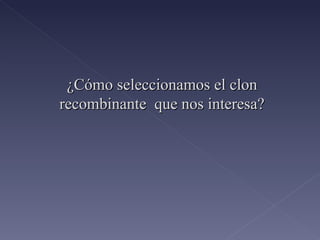 ¿Cómo seleccionamos el clon recombinante  que nos interesa? 