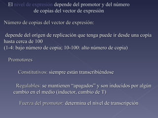 Promotores Constitutivos:  siempre están transcribiéndose Regulables:  se mantienen “apagados” y son inducidos por algún cambio en el medio (inductor, cambio de T) Fuerza del promotor:  determina el nivel de transcripción   El  nivel de expresión  depende del promotor y del número de copias del vector de expresión Número de copias del vector de expresión: depende del orígen de replicación que tenga puede ir desde una copia hasta cerca de 100 (1-4: bajo número de copia; 10-100: alto número de copia) 