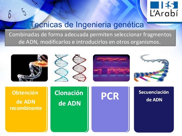 Ingenieria Genetica Y Sus Aplicaciones Charla Alumnos Instituto Sal