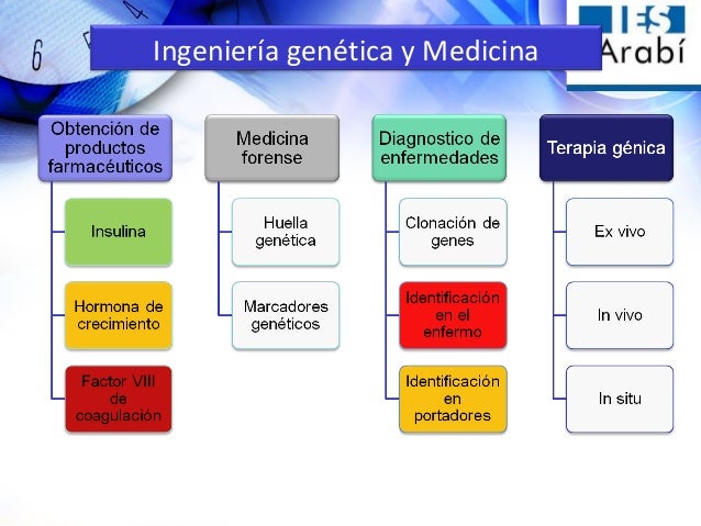 Ingenieria Genetica Y Sus Aplicaciones Charla Alumnos Instituto Sal