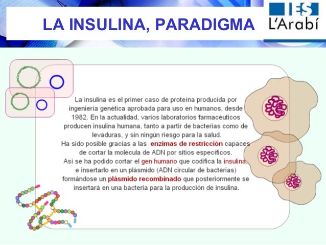 Ingenieria Genética y sus aplicaciones, Charla Alumnos Ingenieria Genética y sus aplicaciones, Charla Alumnos