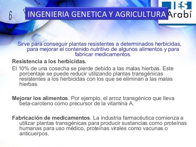 Ingenieria Genetica Y Sus Aplicaciones Charla Alumnos Instituto Sal