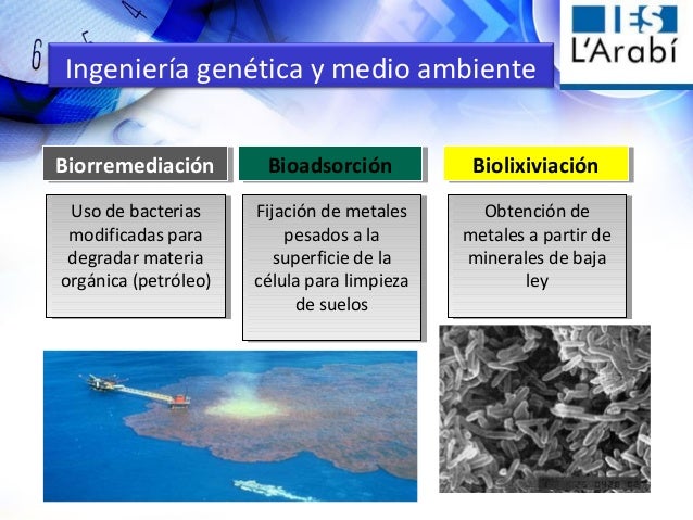 Ingenieria Genética y sus aplicaciones, Charla Alumnos