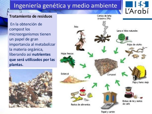 Ingenieria Genetica Y Sus Aplicaciones Charla Alumnos Instituto Sal