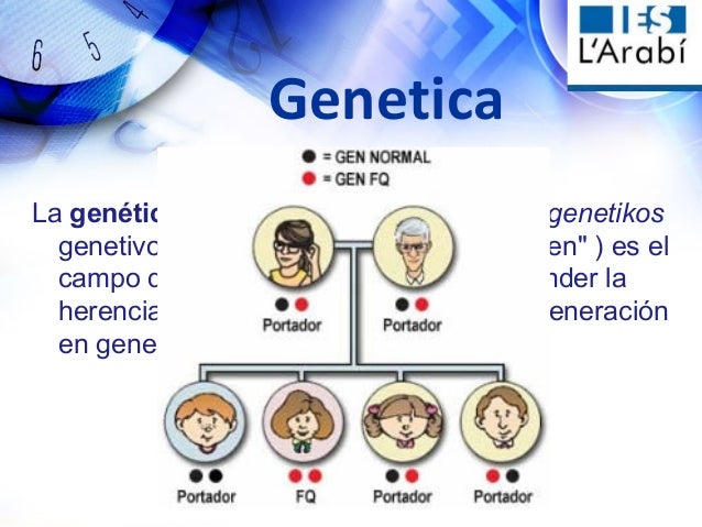 Ingenieria Genetica Y Sus Aplicaciones Charla Alumnos Instituto Sal