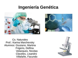 Ingeniería Genética
Cs. Naturales
Prof.: Karina Marchevsky
Alumnos: Giusiano, Martina
Frigerio, Delfina
Velazques, Nicolas
Claveles, Lisandro
Villafañe, Facundo
 