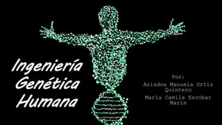 Ingeniería
Genética
Humana
Por:
Ariadna Manuela Ortiz
Quintero
María Camila Escobar
Marín
 