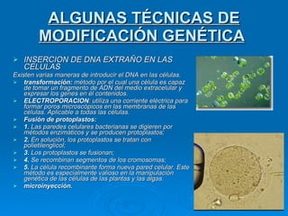 ALGUNAS TÉCNICAS DE MODIFICACIÓN GENÉTICA   INSERCION DE DNA EXTRAÑO EN LAS CELULAS Existen varias maneras de introducir el DNA en las células. transformación:  método por el cual una célula es capaz de tomar un fragmento de ADN del medio extracelular y expresar los genes en él contenidos. ELECTROPORACION : utiliza una corriente eléctrica para formar poros microscópicos en las membranas de las células. Aplicable a todas las células. Fusión de protoplastos:  1.  Las paredes celulares bacterianas se digieren por métodos enzimáticos y se producen protoplastos;  2.  En solución, los protoplastos se tratan con polietilenglicol;  3.  Los protoplastos se fusionan;  4.  Se recombinan segmentos de los cromosomas;  5.  La célula recombinante forma nueva pared celular. Este método es especialmente valioso en la manipulación genética de las células de las plantas y las algas. microinyección. 