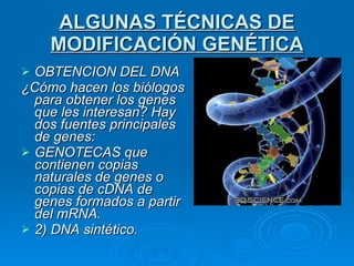 ALGUNAS TÉCNICAS DE MODIFICACIÓN GENÉTICA OBTENCION DEL DNA ¿Cómo hacen los biólogos para obtener los genes que les interesan? Hay dos fuentes principales de genes: GENOTECAS que contienen copias naturales de genes o copias de cDNA de genes formados a partir del mRNA. 2) DNA sintético. 