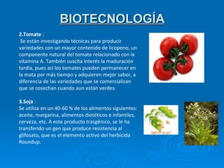 BIOTECNOLOGÍA 2.Tomate  : Se están investigando técnicas para producir variedades con un mayor contenido de licopeno, un componente natural del tomate relacionado con la vitamina A. También suscita interés la maduración tardía, pues así los tomates pueden permanecer en la mata por más tiempo y adquieren mejor sabor, a diferencia de las variedades que se comercializan que se cosechan cuando aun están verdes.  3.Soja  : Se utiliza en un 40-60 % de los alimentos siguientes: aceite, margarina, alimentos dietéticos e infantiles, cerveza, etc. A este producto trasgénico, se le ha transferido un gen que produce resistencia al glifosato, que es el elemento activo del herbicida Roundup. 