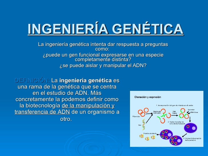 Ingenieria Genetica Power Point