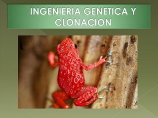 INGENIERIA GENETICA Y CLONACION 