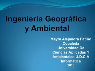 Mayra Alejandra Patiño
Cobaleda
Universidad De
Ciencias Aplicadas Y
Ambientales U.D.C.A
Informática
2013
1
 