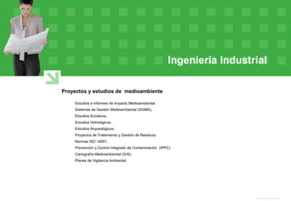 Ingeniería Industrial
Proyectos y estudios de medioambiente
Estudios e Informes de Impacto Medioambiental.
Sistemas de Gestión Medioambiental (SGMA).
Estudios Acústicos.
Estudios Hidrológicos.
Estudios Arqueológicos.
Proyectos de Tratamiento y Gestión de Residuos.
Normas ISO 14001.
Prevención y Control Integrado de Contaminación (IPPC).
Cartografía Medioambiental (GIS).
Planes de Vigilancia Ambiental.
 