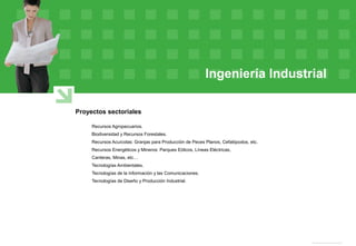 Ingeniería Industrial
Proyectos sectoriales
Recursos Agropecuarios.
Biodiversidad y Recursos Forestales.
Recursos Acuícolas: Granjas para Producción de Peces Planos, Cefalópodos, etc.
Recursos Energéticos y Mineros: Parques Eólicos, Líneas Eléctricas,
Canteras, Minas, etc…
Tecnologías Ambientales.
Tecnologías de la Información y las Comunicaciones.
Tecnologías de Diseño y Producción Industrial.
 