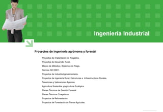 Ingeniería Industrial
Proyectos de ingeniería agrónoma y forestal
Proyectos de Implantación de Regadíos.
Proyectos de Desarrollo Rural.
Mejora de Métodos y Sistemas de Riego.
Normas ISO 9001.
Proyectos de Industria Agroalimentaria.
Proyectos de Ingeniería Rural, Estructuras e Infraestructuras Rurales.
Tasaciones y Valoraciones Agrarias.
Agricultura Sostenible y Agricultura Ecológica.
Planes Técnicos de Gestión Forestal.
Planes Técnicos Cinegéticos.
Proyectos de Reforestación.
Proyectos de Forestación de Tierras Agrícolas.
 
