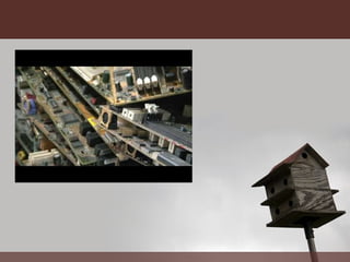 Ingenieros -  6to Grado P