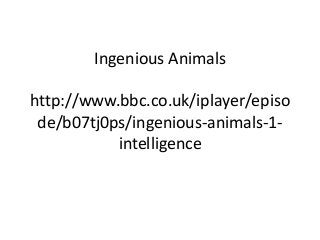 Ingenious Animals
http://www.bbc.co.uk/iplayer/episo
de/b07tj0ps/ingenious-animals-1-
intelligence
 