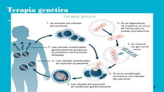 Terapia genética
5
 