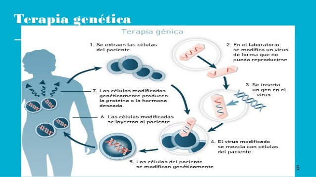 Ingeniería genética medicina Ingeniería genética medicina