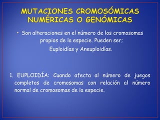 • Son alteraciones en el número de los cromosomas
propios de la especie. Pueden ser;
Euploidías y Aneuploidías.
1. EUPLOIDÍA: Cuando afecta al número de juegos
completos de cromosomas con relación al número
normal de cromosomas de la especie.
 
