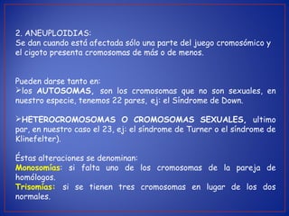 2. ANEUPLOIDIAS:
Se dan cuando está afectada sólo una parte del juego cromosómico y
el cigoto presenta cromosomas de más o de menos.
Pueden darse tanto en:
los AUTOSOMAS, son los cromosomas que no son sexuales, en
nuestro especie, tenemos 22 pares, ej: el Síndrome de Down.
HETEROCROMOSOMAS O CROMOSOMAS SEXUALES, ultimo
par, en nuestro caso el 23, ej: el síndrome de Turner o el síndrome de
Klinefelter).
Éstas alteraciones se denominan:
Monosomías: si falta uno de los cromosomas de la pareja de
homólogos.
Trisomías: si se tienen tres cromosomas en lugar de los dos
normales.
 