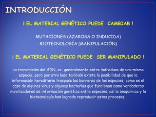 ¡ EL MATERIAL GENÉTICO PUEDE CAMBIAR !
MUTACIONES (AZAROSA O INDUCIDA)
BIOTECNOLOGÍA (MANIPULACIÓN)
¡ EL MATERIAL GENÉTICO PUEDE SER MANIPULADO !
La transmisión del ADN, es generalmente entre individuos de una misma
especie, pero por otro lado también existe la posibilidad de que la
información hereditaria traspase las barreras de las especies, como es el
caso de algunos virus y algunas bacterias que funcionan como verdaderos
movilizadores de información genética entre especies, así la bioquímica y la
biotecnología han logrado reproducir estos procesos.
 