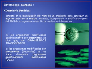 consiste en la manipulación del ADN de un organismo para conseguir un
objetivo práctico,se realiza quitando, incorporando o modificando genes
del ADN de un organismo con el fin de cambiar su información..
Ingeniería Genética:
Biotecnología avanzada :
Si los organismos modificados
genéticamente son eucariotas, se
dice que son ORGANISMOS
TRANSGÉNICO.
Si los organismos modificados son
procariotas (bacterias) se les
suele denominar organismos
genéticamente modificados
(OGM)
 