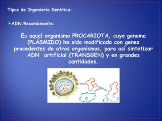 ADN Recombinante:
Tipos de Ingeniería Genética:
Es aquel organismo PROCARIOTA, cuyo genoma
(PLÁSMIDO) ha sido modificado con genes
procedentes de otros organismos, para así sintetizar
ADN artificial (TRANSGEN) y en grandes
cantidades.
 